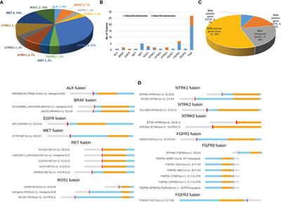 Profiling Receptor Tyrosine Kinase Fusions in Chinese Breast Cancers